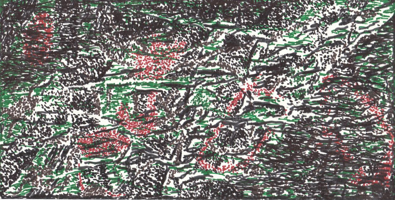 Mangrove Oct Nov 99